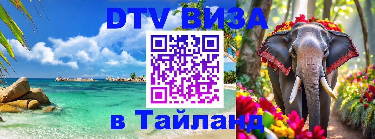 Оформление DTV визы под ключ: стоимость и тарифы, только загранпаспорт - 19.11.2025 
